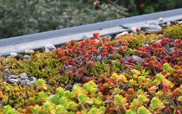 the cost of Lightwater green roof installation